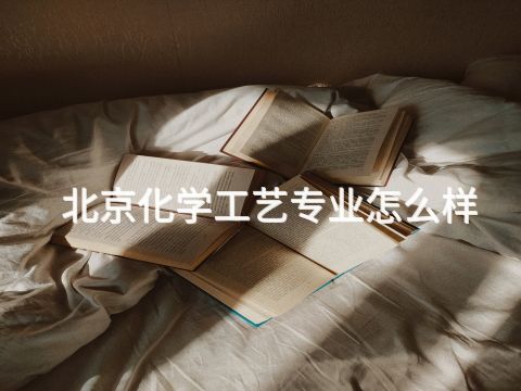 北京化学工艺专业怎么样 北京化学工艺专业怎么样