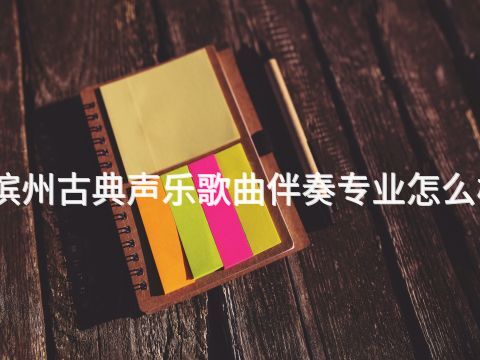 滨州古典声乐歌曲伴奏专业怎么样