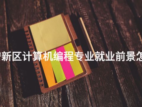 雄安新区计算机编程专业就业前景怎么样(图1)