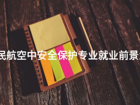 邯郸民航空中安全保护专业就业前景怎么样(图1)