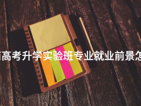 济南高考升学实验班专业就业前景怎么样