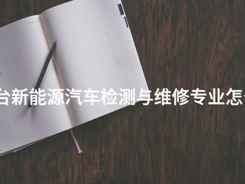 邢台新能源汽车检测与维修专业怎么样