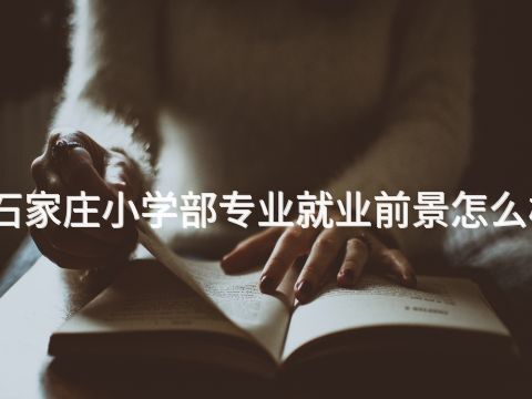 石家庄小学部专业就业前景怎么样