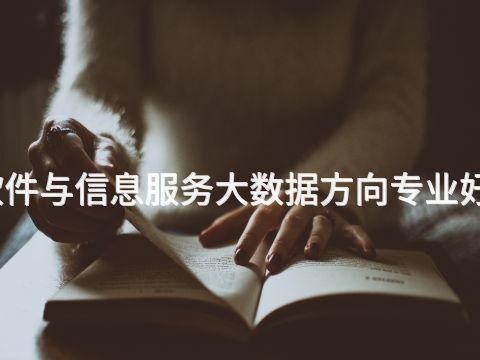 邯郸软件与信息服务大数据方向专业好就业吗(图1)