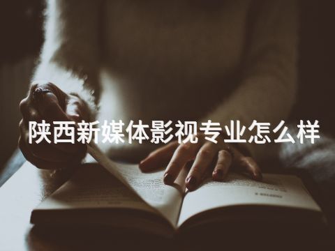 陕西新媒体影视专业怎么样(图1) 陕西新媒体影视专业怎么样(图1)
