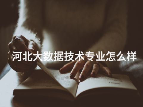 河北大数据技术专业怎么样(图1) 河北大数据技术专业怎么样(图1)
