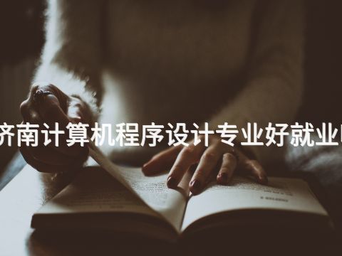 济南计算机程序设计专业好就业吗