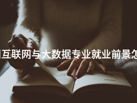 滨州互联网与大数据专业就业前景怎么样