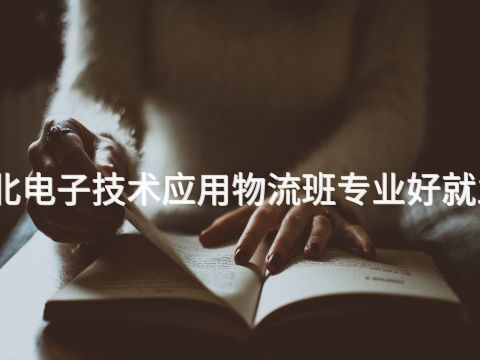 河北電子技術(shù)應(yīng)用物流班專業(yè)好就業(yè)嗎