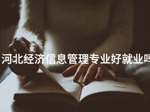 河北經濟信息管理專業好就業嗎