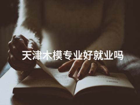 天津木模专业好就业吗