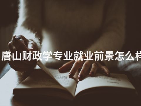 唐山财政学专业就业前景怎么样