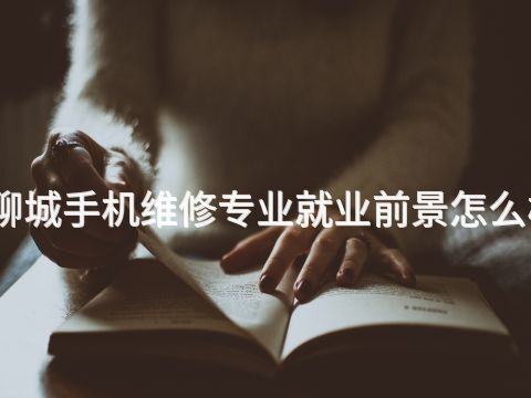 聊城手机维修专业就业前景怎么样(图1)