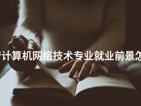 东营计算机网络技术专业就业前景怎么样