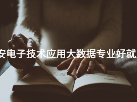 泰安电子技术应用大数据专业好就业吗(图1)