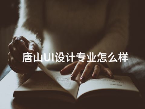 唐山UI設(shè)計(jì)專業(yè)怎么樣(圖1) 唐山UI設(shè)計(jì)專業(yè)怎么樣(圖1)
