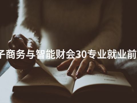 山东电子商务与智能财会30专业就业前景怎么样