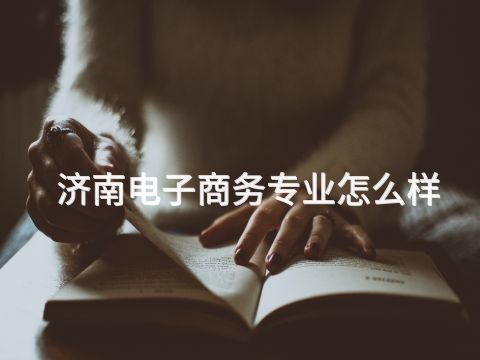 济南电子商务专业怎么样