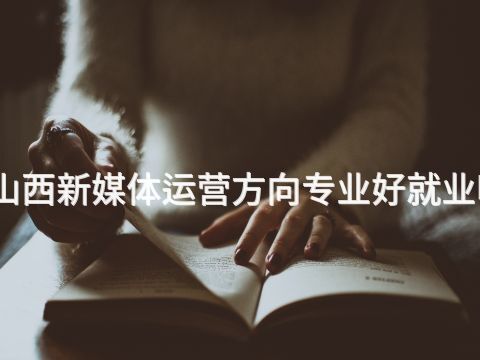 山西新媒體運(yùn)營(yíng)方向?qū)I(yè)好就業(yè)嗎