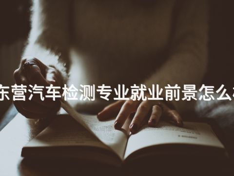 东营汽车检测专业就业前景怎么样(图1) 东营汽车检测专业就业前景怎么样(图1)