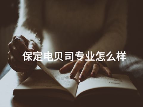 保定电贝司专业怎么样(图1) 保定电贝司专业怎么样(图1)