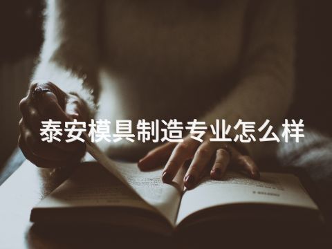 泰安模具制造专业怎么样