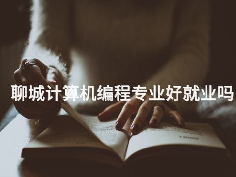 聊城计算机编程专业好就业吗(图1) 聊城计算机编程专业好就业吗(图1)