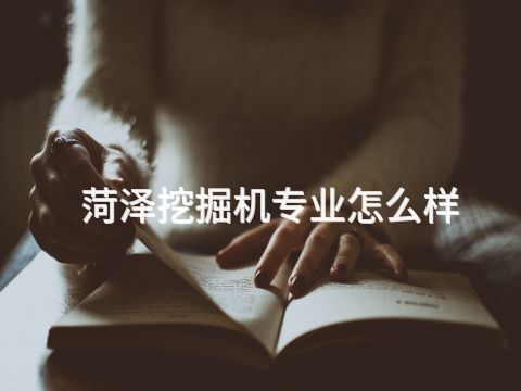 菏泽挖掘机专业怎么样(图1) 菏泽挖掘机专业怎么样(图1)