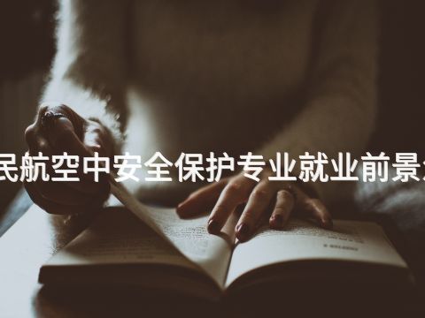 保定民航空中安全保护专业就业前景怎么样