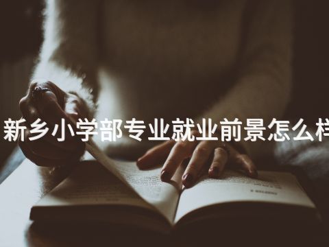 新乡小学部专业就业前景怎么样