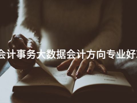 新乡会计事务大数据会计方向专业好就业吗