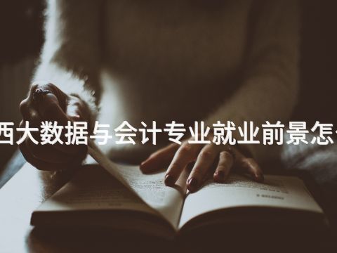 山西大数据与会计专业就业前景怎么样