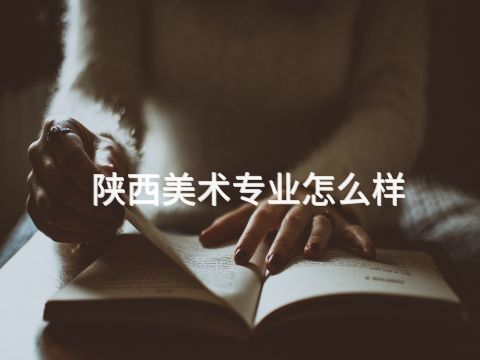 陕西美术专业怎么样
