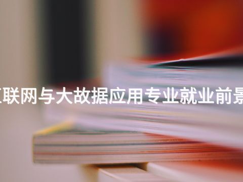 临沂互联网与大故据应用专业就业前景怎么样(图1) 临沂互联网与大故据应用专业就业前景怎么样(图1)