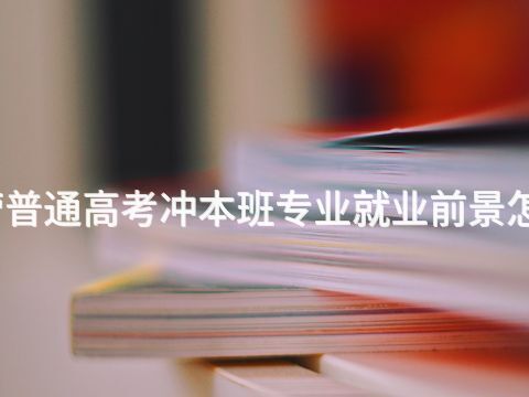 东营普通高考冲本班专业就业前景怎么样
