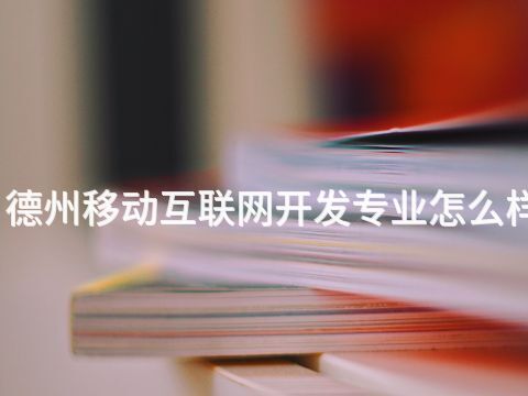 德州移动互联网开发专业怎么样(图1) 德州移动互联网开发专业怎么样(图1)