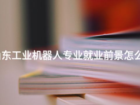 山东工业机器人专业就业前景怎么样(图1) 山东工业机器人专业就业前景怎么样(图1)