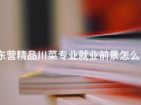 东营精品川菜专业就业前景怎么样