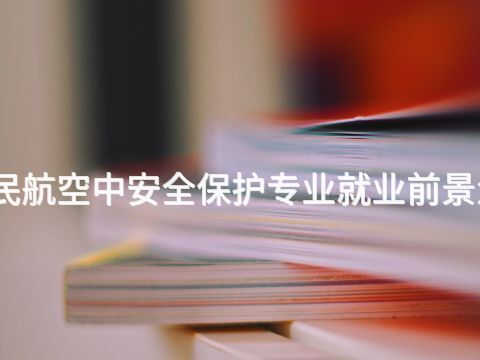 山西民航空中安全保护专业就业前景怎么样