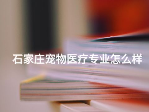 石家庄宠物医疗专业怎么样(图1) 石家庄宠物医疗专业怎么样(图1)