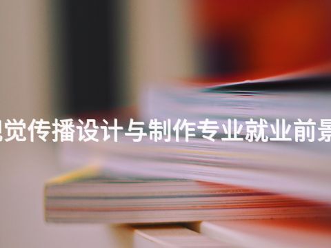 济宁视觉传播设计与制作专业就业前景怎么样