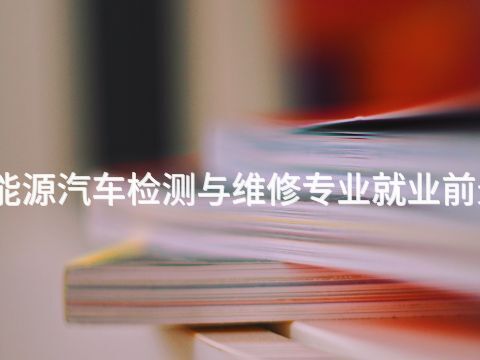 新乡新能源汽车检测与维修专业就业前景怎么样