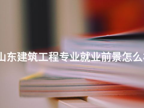 山东建筑工程专业就业前景怎么样(图1) 山东建筑工程专业就业前景怎么样(图1)