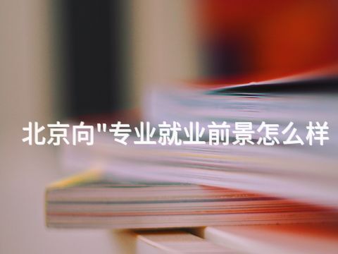 北京向"专业就业前景怎么样