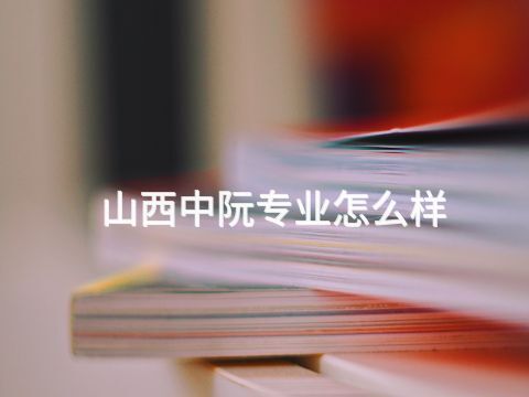 山西中阮專業怎么樣(圖1) 山西中阮專業怎么樣(圖1)