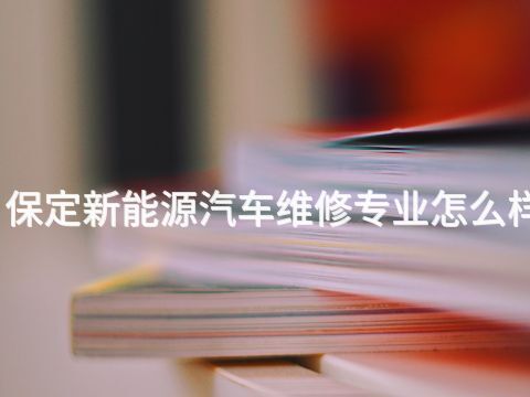保定新能源汽車維修專業怎么樣