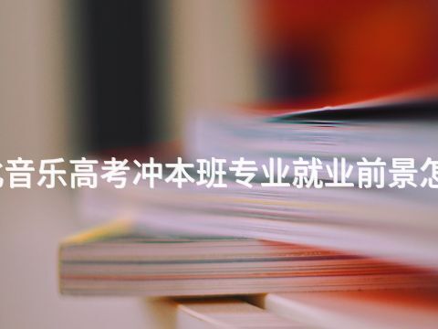 河北音乐高考冲本班专业就业前景怎么样
