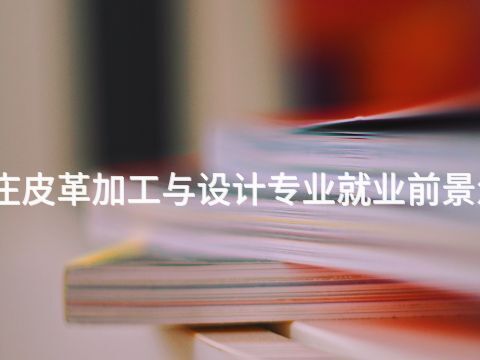 石家庄皮革加工与设计专业就业前景怎么样