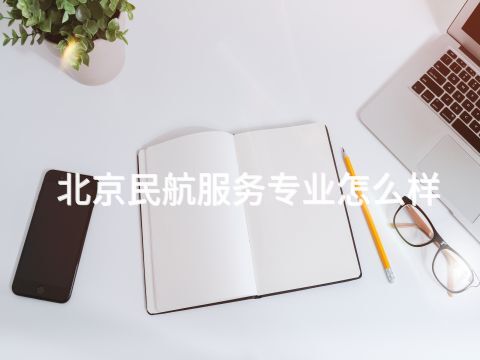 北京民航服务专业怎么样