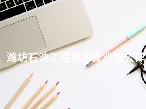 潍坊石油工程技术专业怎么样